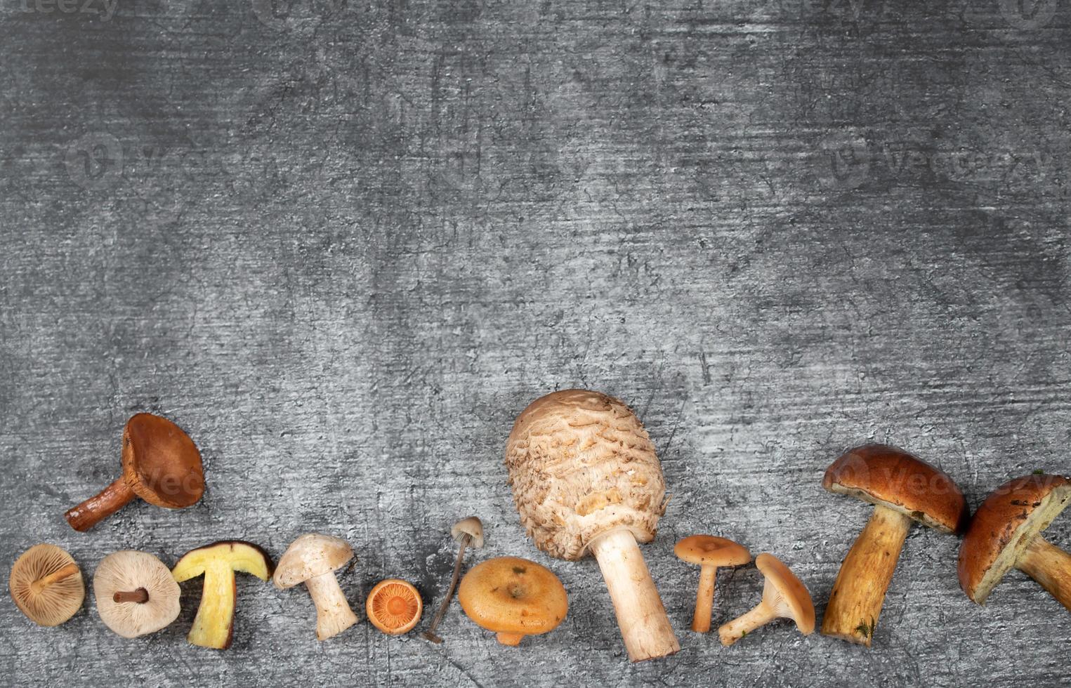 Various mushrooms lie at the bottom of a stone background. The mushrooms are partially cut open photo
