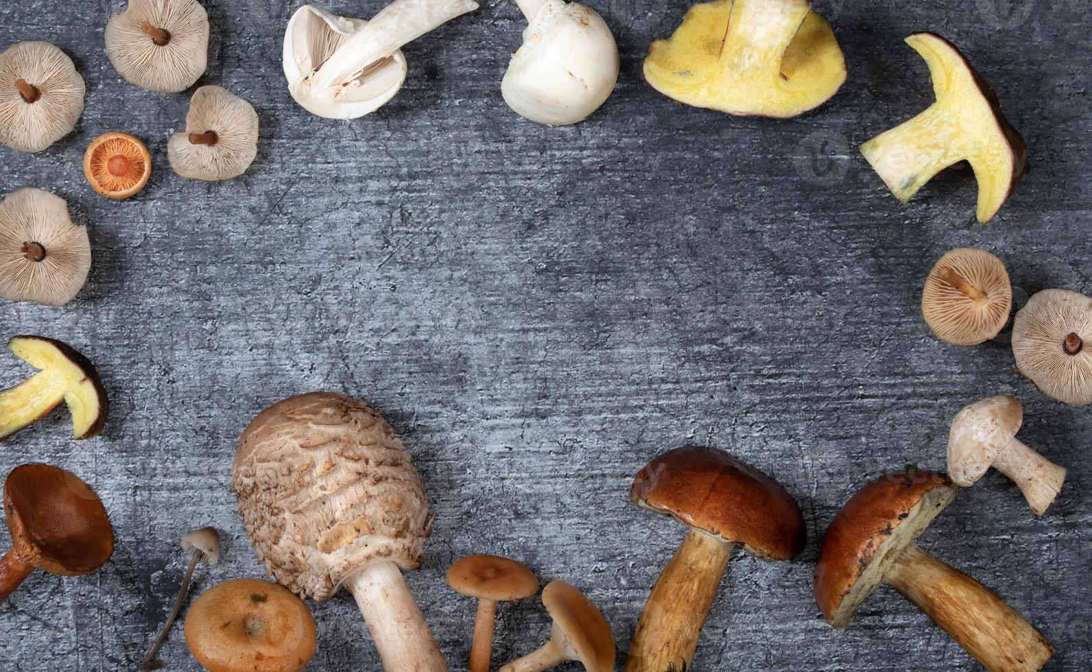Various mushrooms form a frame around a slab of stone. In the middle is space for text. The mushrooms are partially cut open. photo