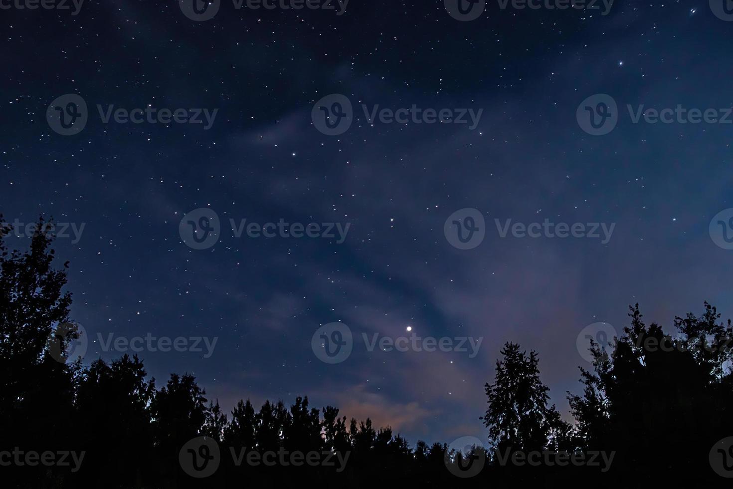 Night starry sky over forest. Tree silhouettes against  backdrop of stars. photo