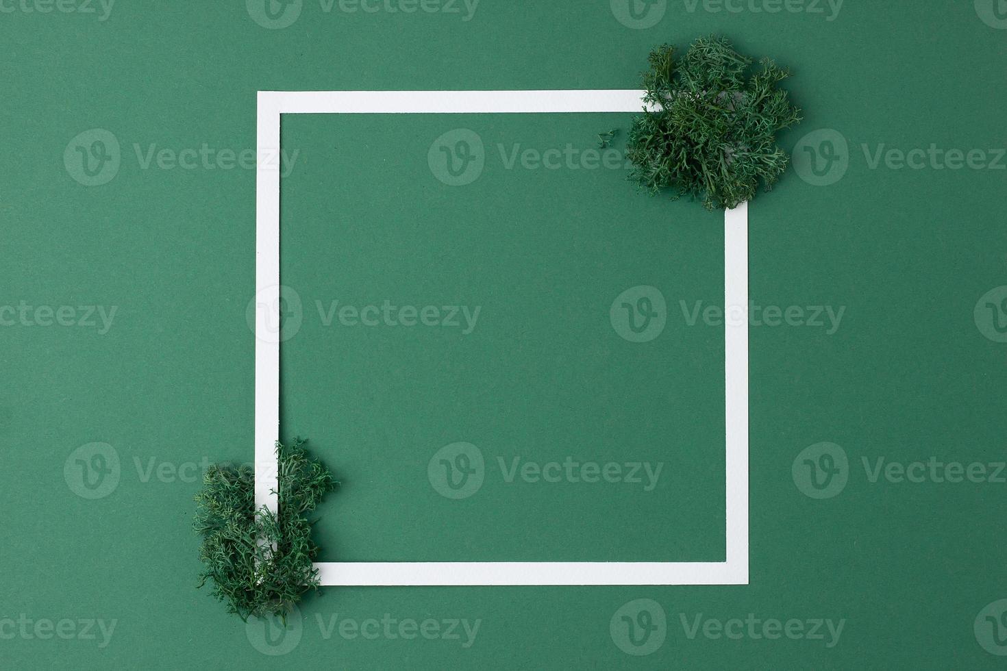 White frame with moss on green background. Flat lay, copy space. photo