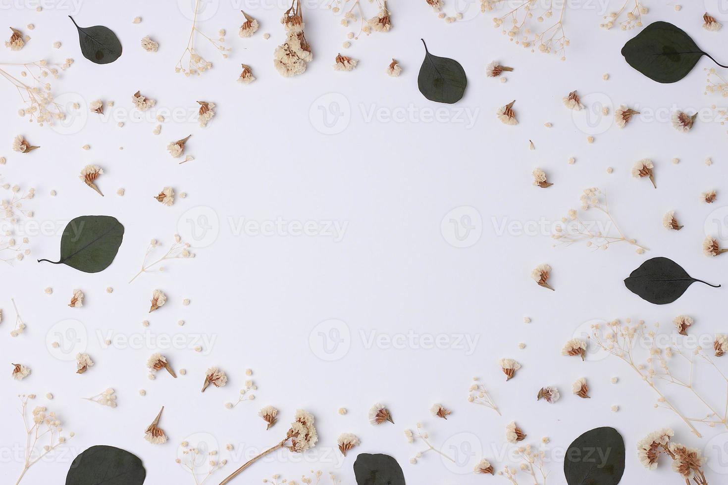 Cosmetic background with flowers and eucalyptus on white. Flat lay, copy space photo
