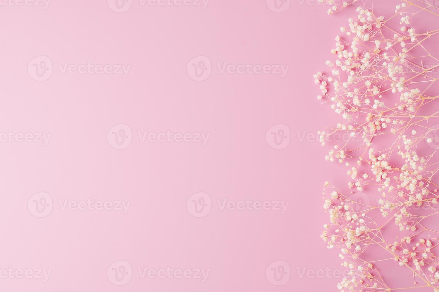 Cosmetic background with flowers on pink. Flat lay, copy space photo