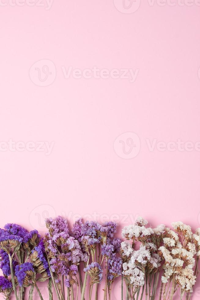 Cosmetic background with flowers on pink. Flat lay, copy space photo