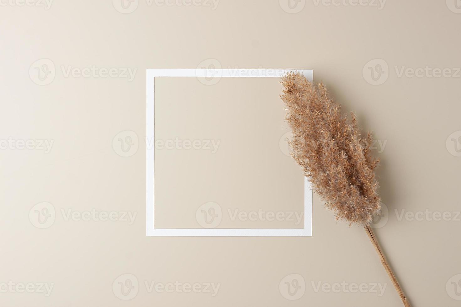 Cosmetic background with white frame and pampas on pastel beige. Flat lay, copy space photo