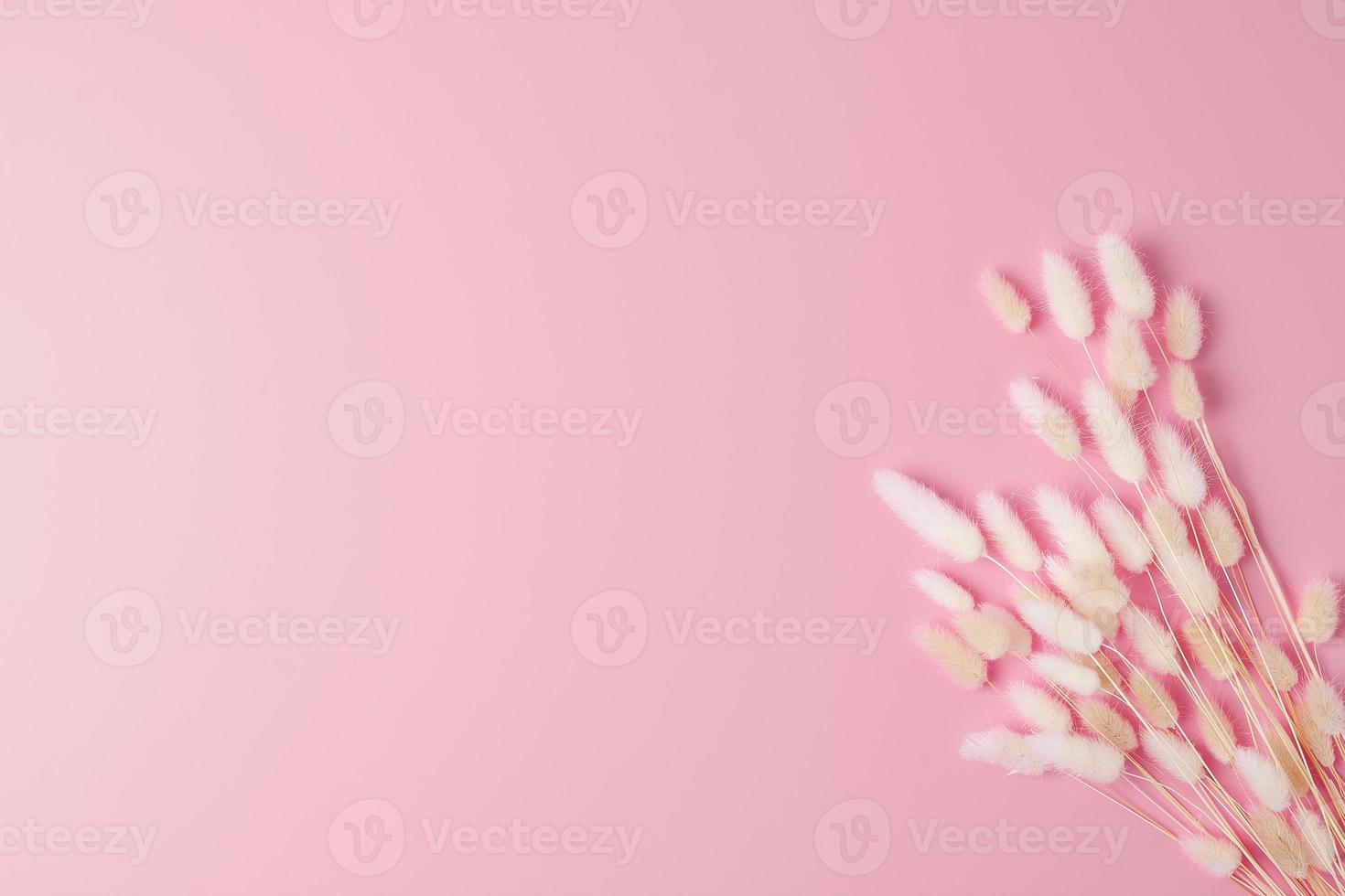 Cosmetic background with flowers on pink. Flat lay, copy space photo