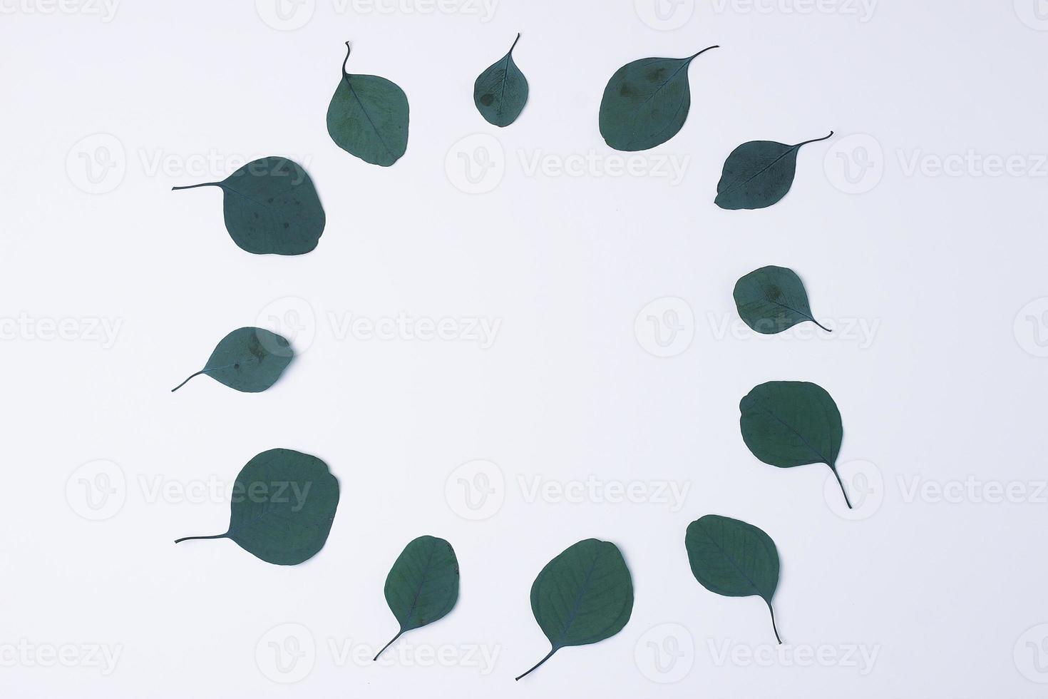 Cosmetic background with eucalyptus on white. Flat lay, copy space photo