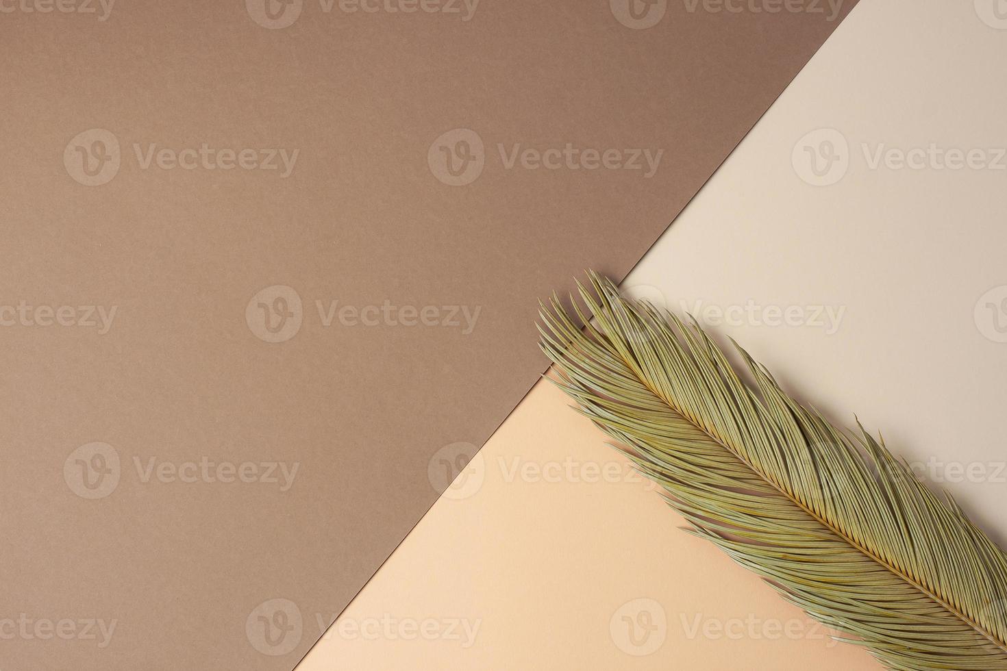 Tropical background with palm leaf on brown and pastel beige. Flat lay, copy space photo