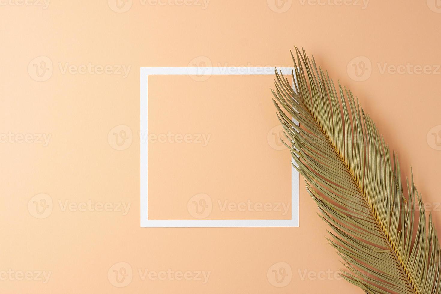 Cosmetic background with white frame and palm leaf on pastel beige. Flat lay, copy space photo