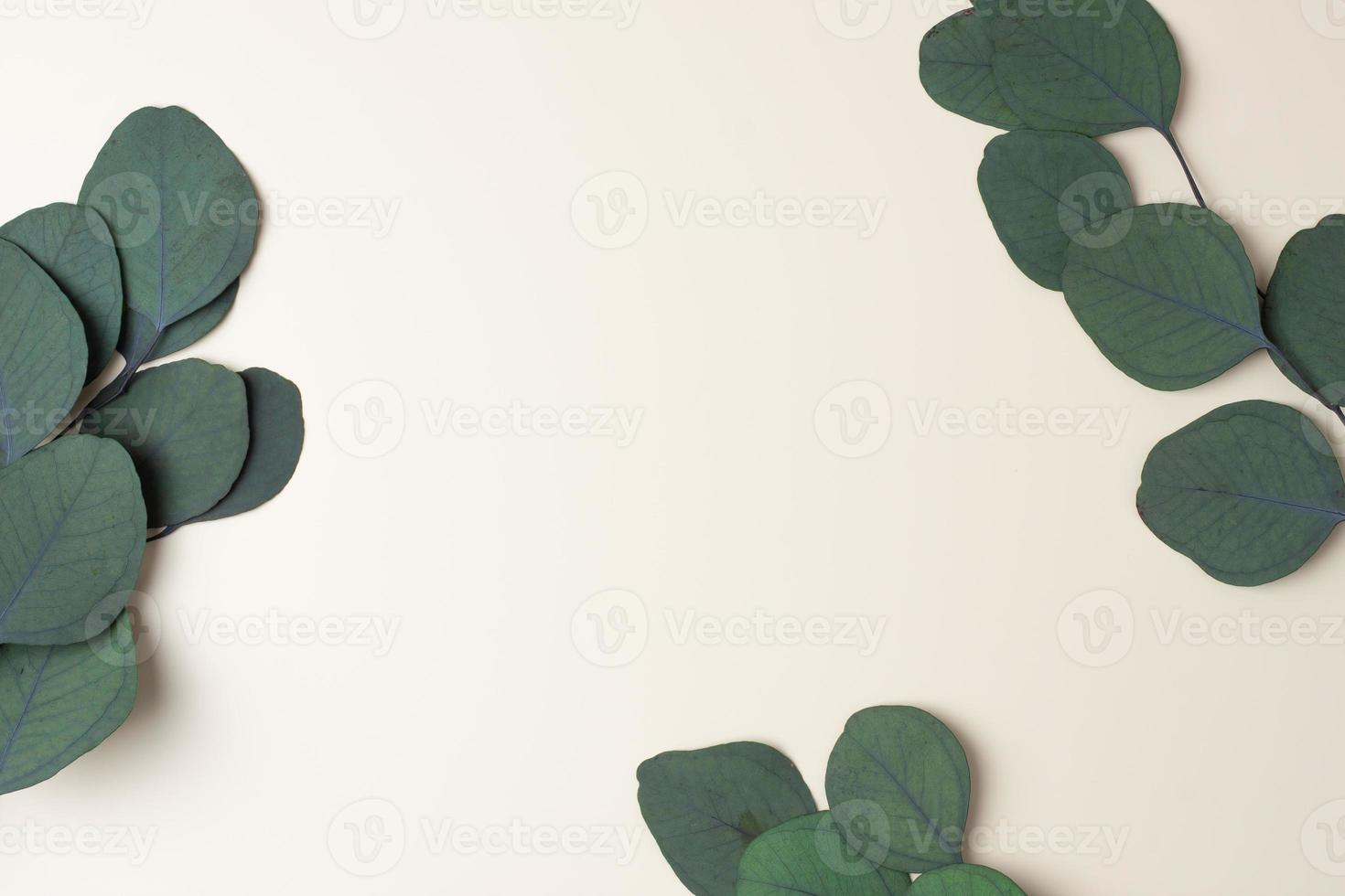 Cosmetic background with eucalyptus natural background on pastel beige. Flat lay, copy space photo