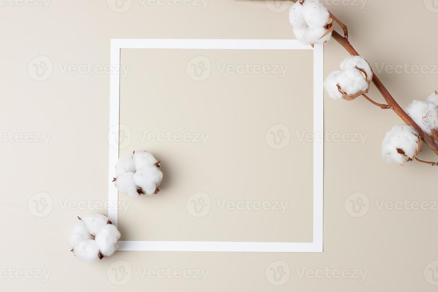 White frame with cotton flower on beige background. Flat lay, copy space. photo