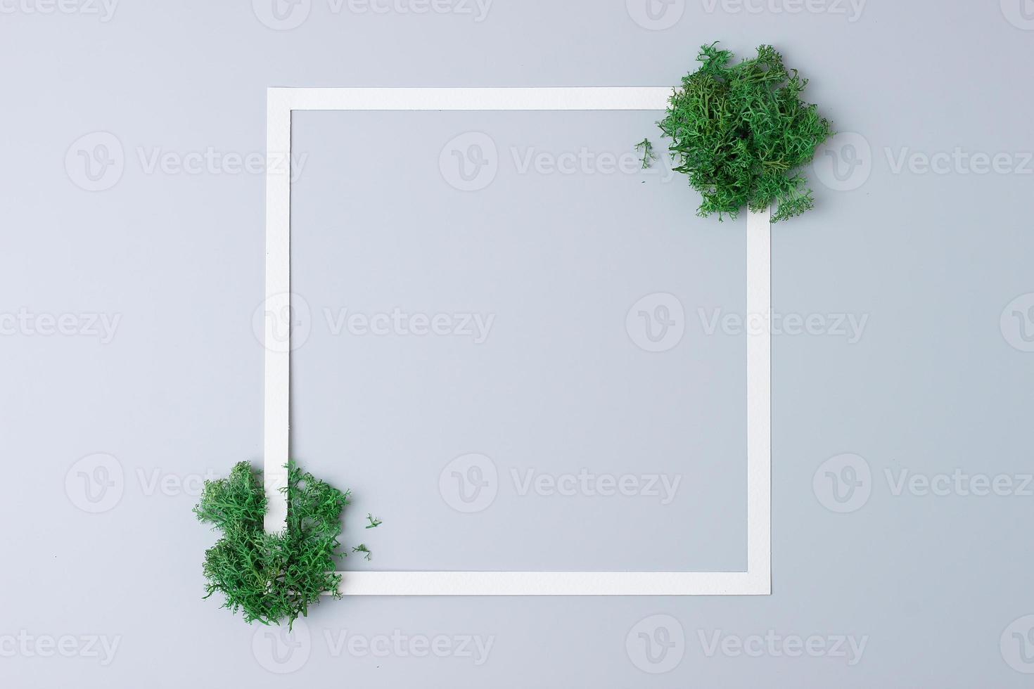 White frame with moss on grey background. Flat lay, copy space. photo