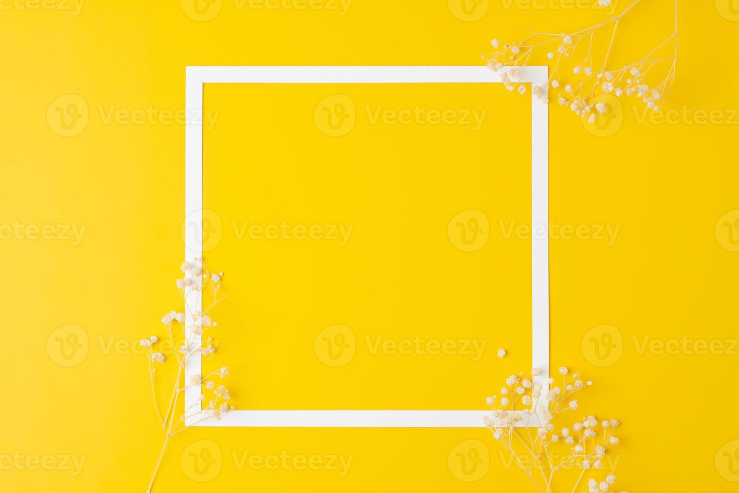 White frame with gypsophila on yellow background. Flat lay, copy space. photo