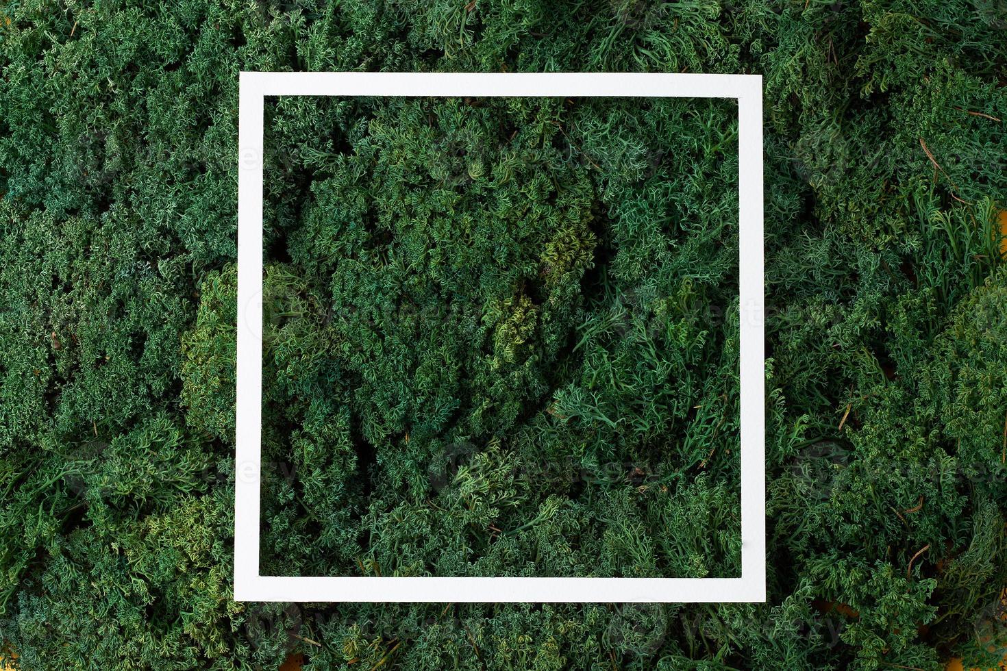 White frame on green moss natural background. Flat lay, copy space. photo