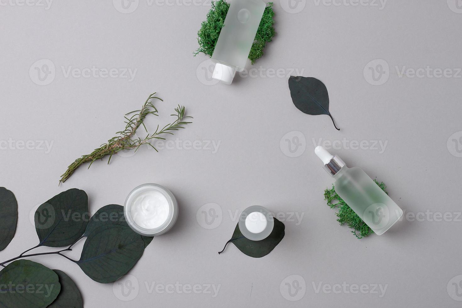 Cosmetic skin care products with eucalyptus and moss on grey background. Flat lay. photo