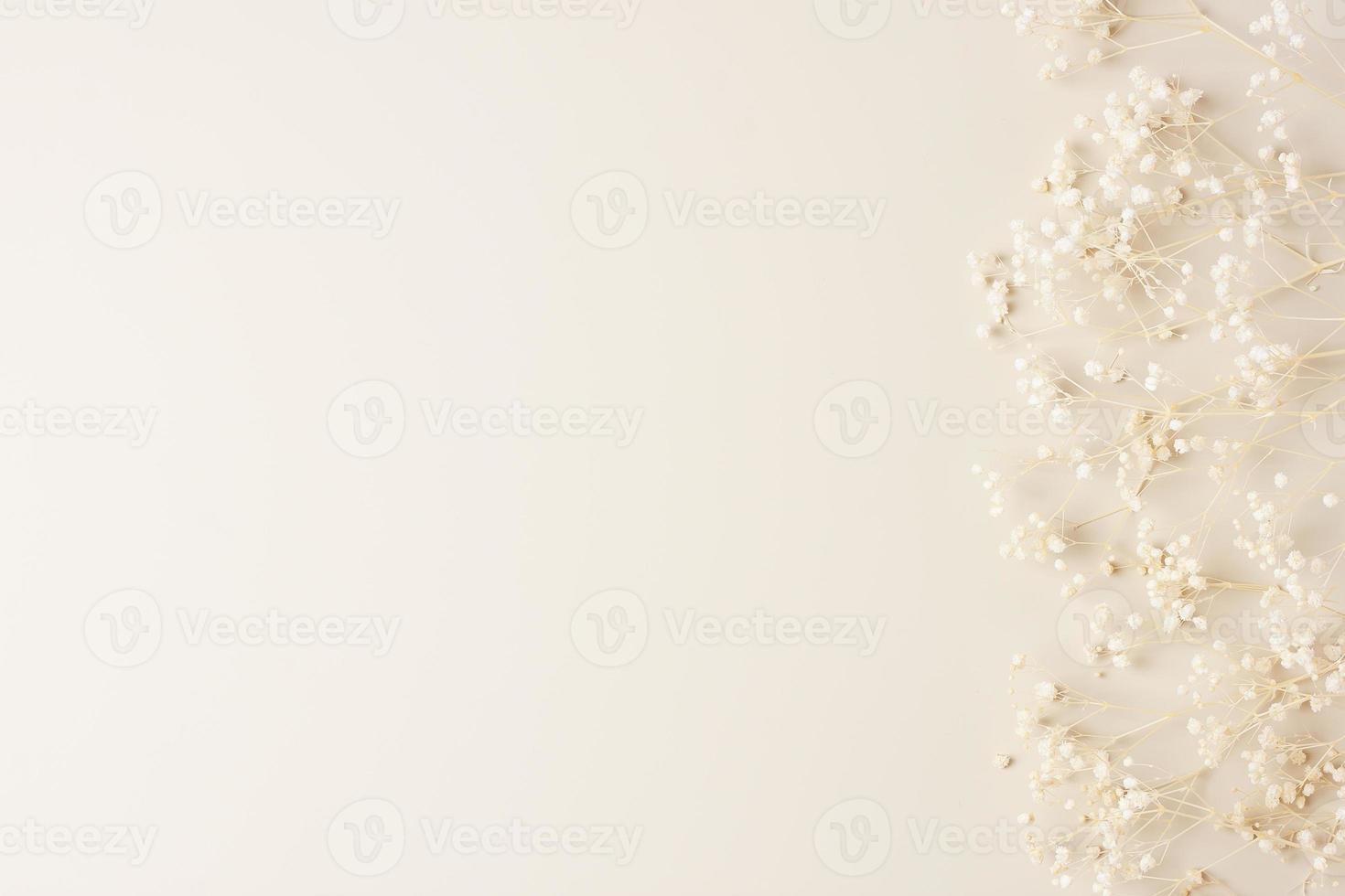 Cosmetic background with flowers on pastel beige. Flat lay, copy space photo