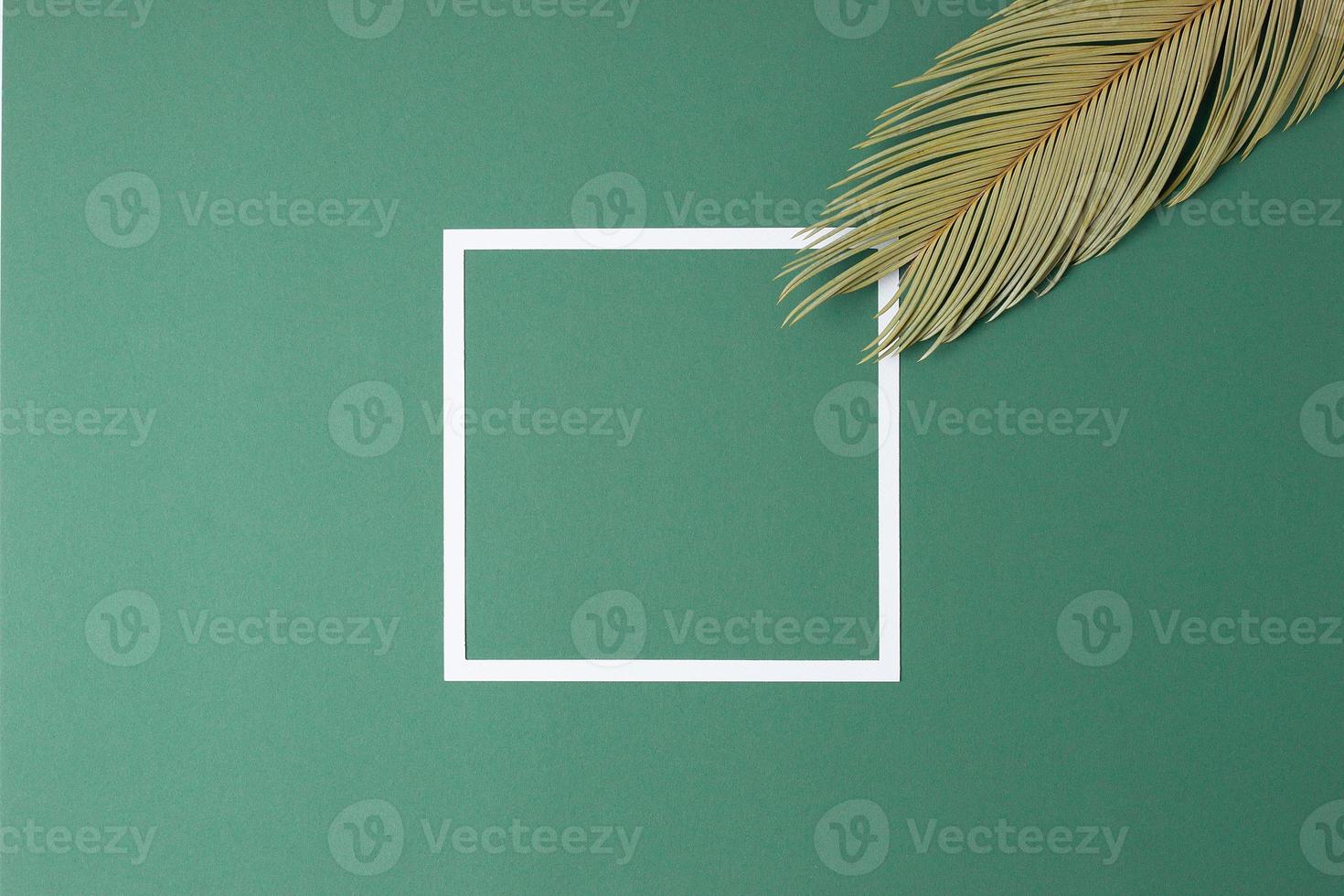 Tropical background with palm leaf and white frame on green. Flat lay, copy space photo