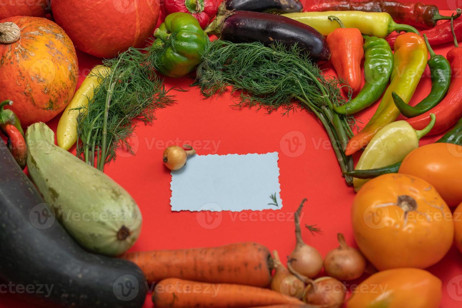 Vegetables are laid out around a sheet of paper and a pencil. Empty space for text. Vegetables, empty blank for recipe  on a red background. photo