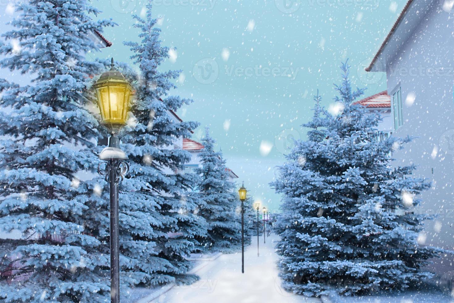 Snowy fir trees, houses, alley and lanterns. Snowing. Dust. Winter, Christmas, New year card. Copy space photo