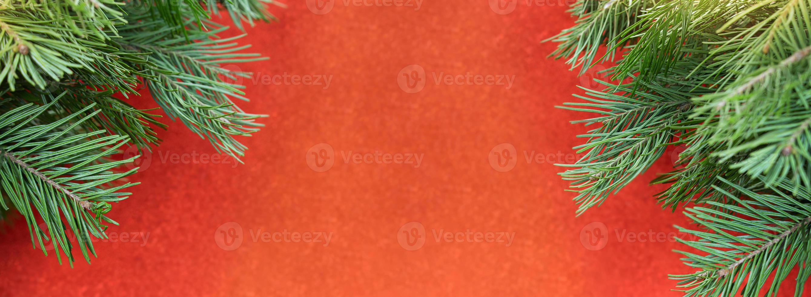 Branches of spruce, fir on both sides with place for text. Banner. Christmas, New Year, holiday. Copy space photo