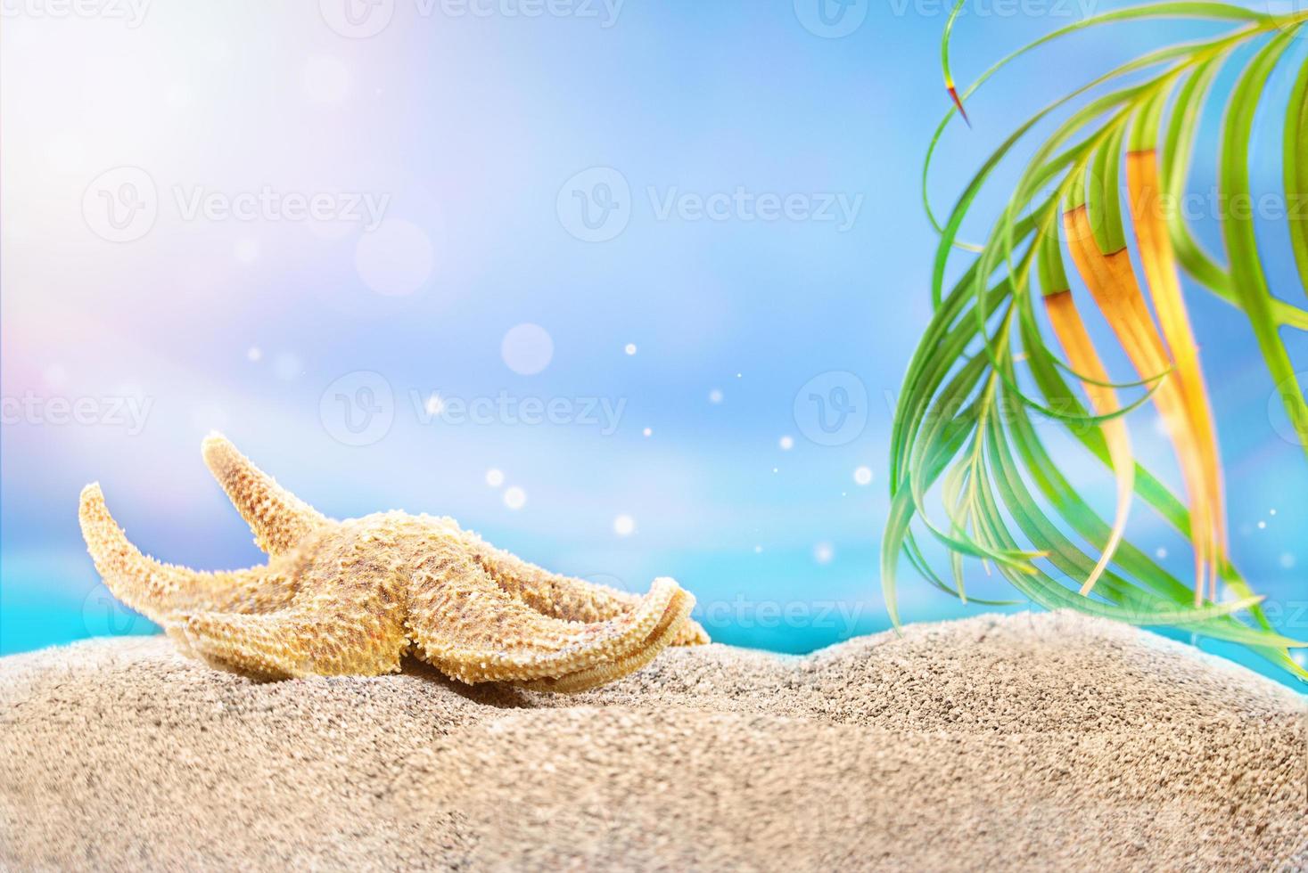 Starfish lies on sand on beach, palm tree branch and sun rays, sea is behind. Vacation and travel concept. Copy space photo