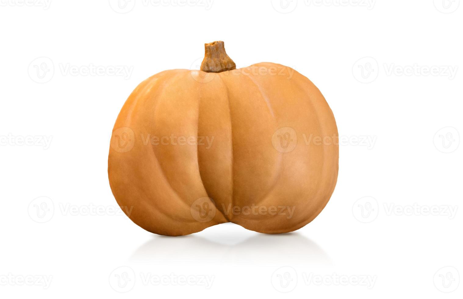 Orange striped pumpkin on a white isolated background. Symbol for Halloween, Thanksgiving, Autumn. Copy space photo