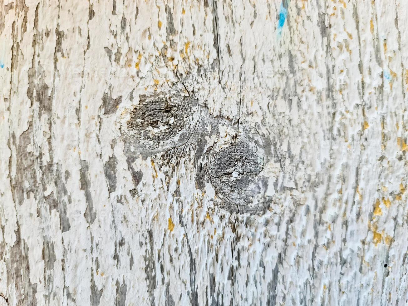 Close up view on different wood surfaces of planks logs and wooden walls in high resolution photo