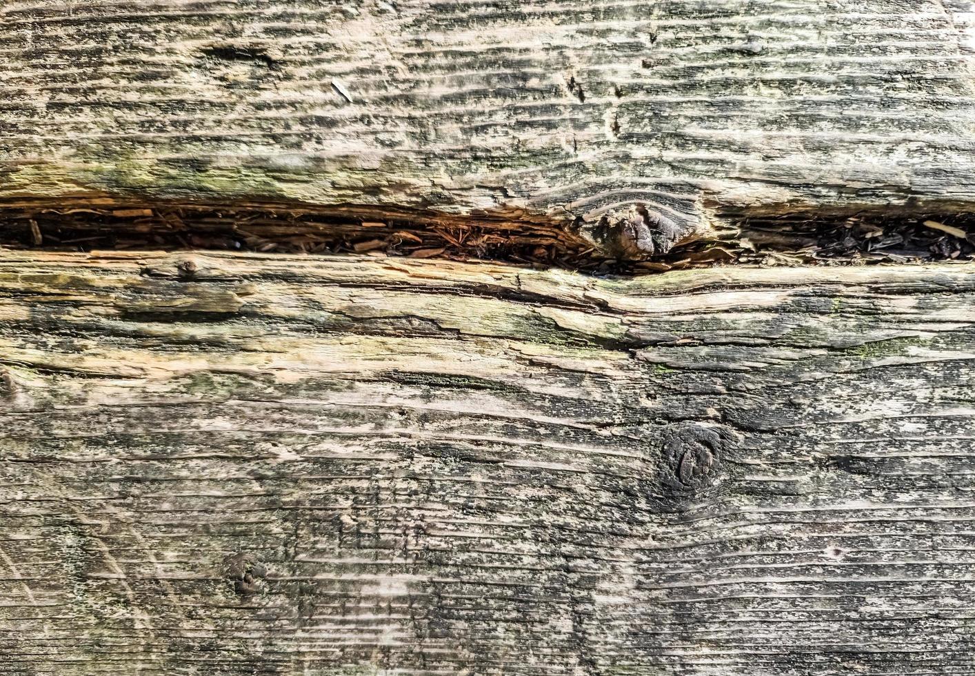 Close up view on different wood surfaces of planks logs and wooden walls in high resolution photo