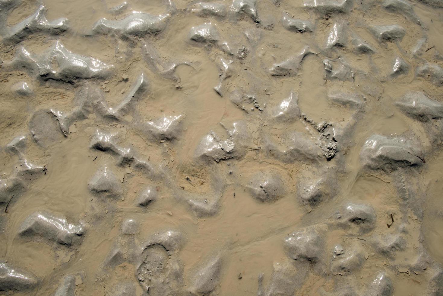 Mud with water during low tide. Atlantic coast. France photo