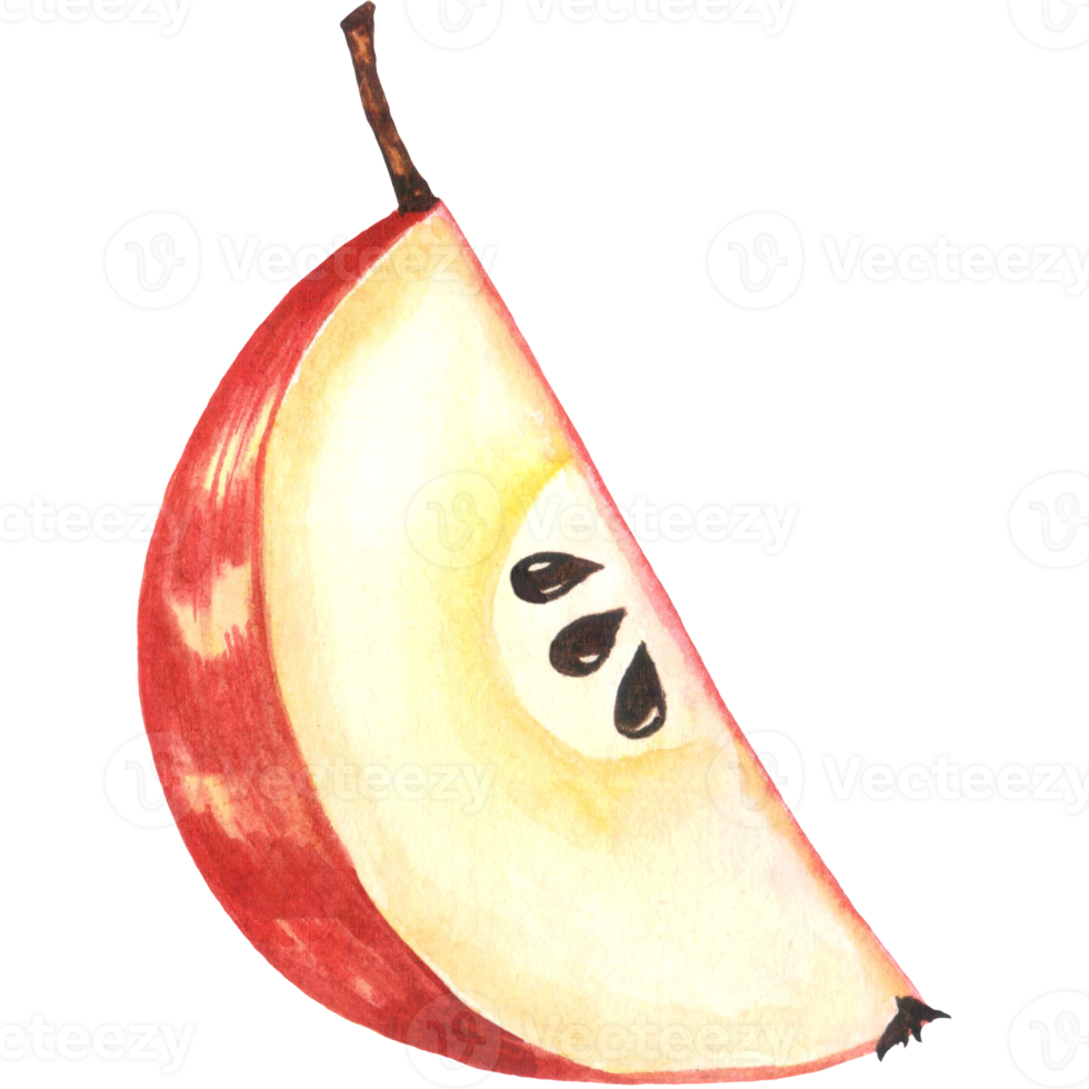 Watercolor slice of a cut apple with seeds png