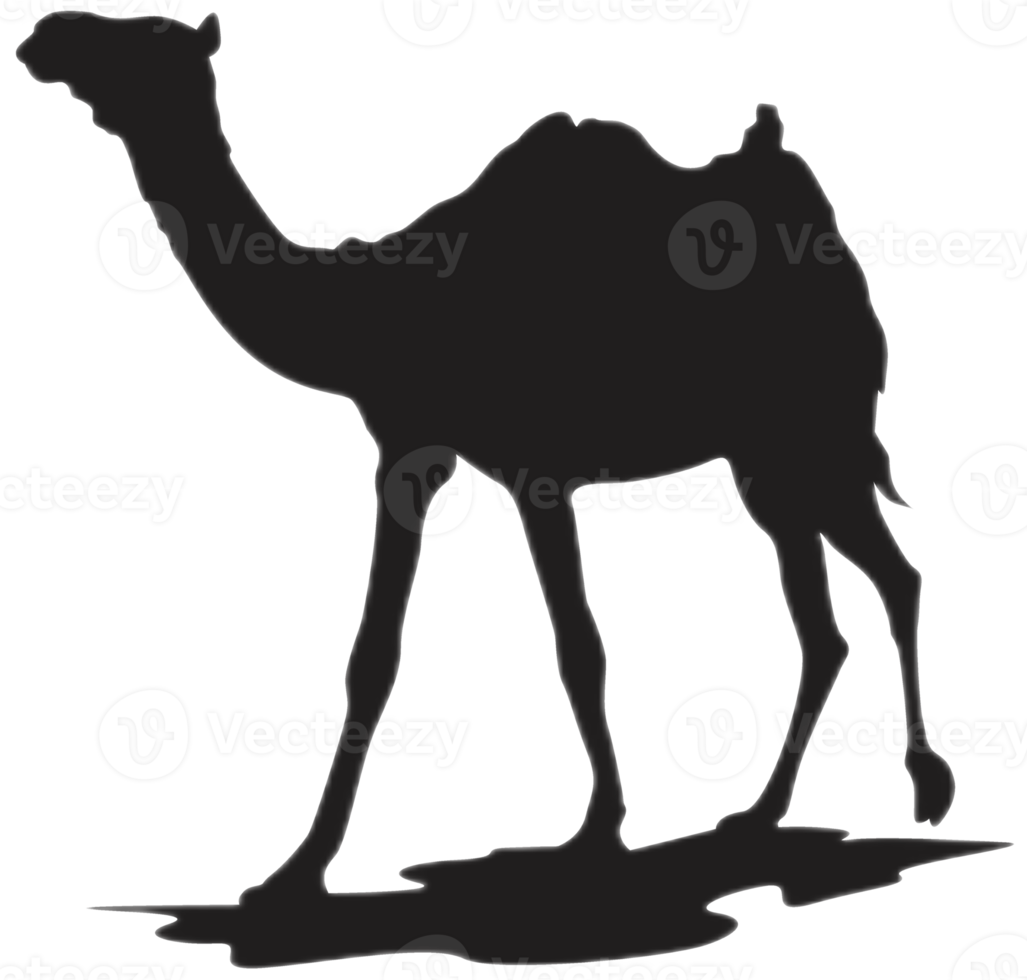 Standing Camel silhouette png