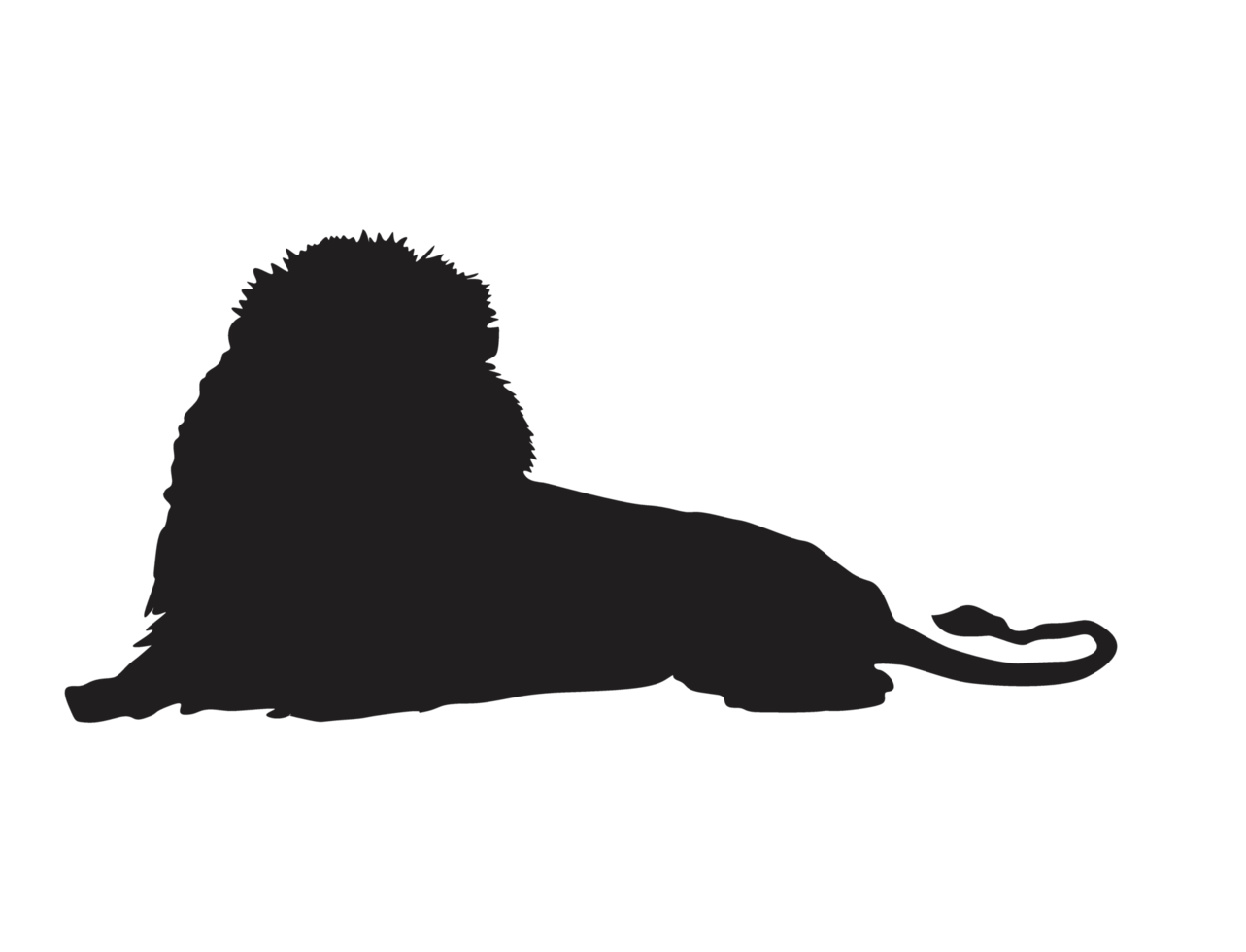 silhouette d'un lion mâle png