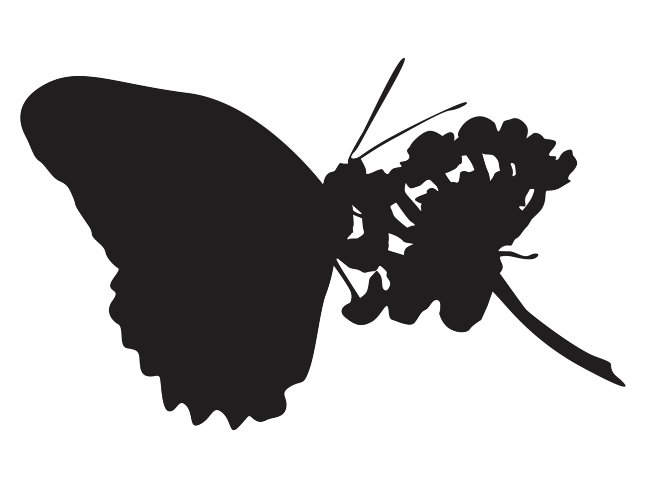neerstrijken vlinder silhouet png