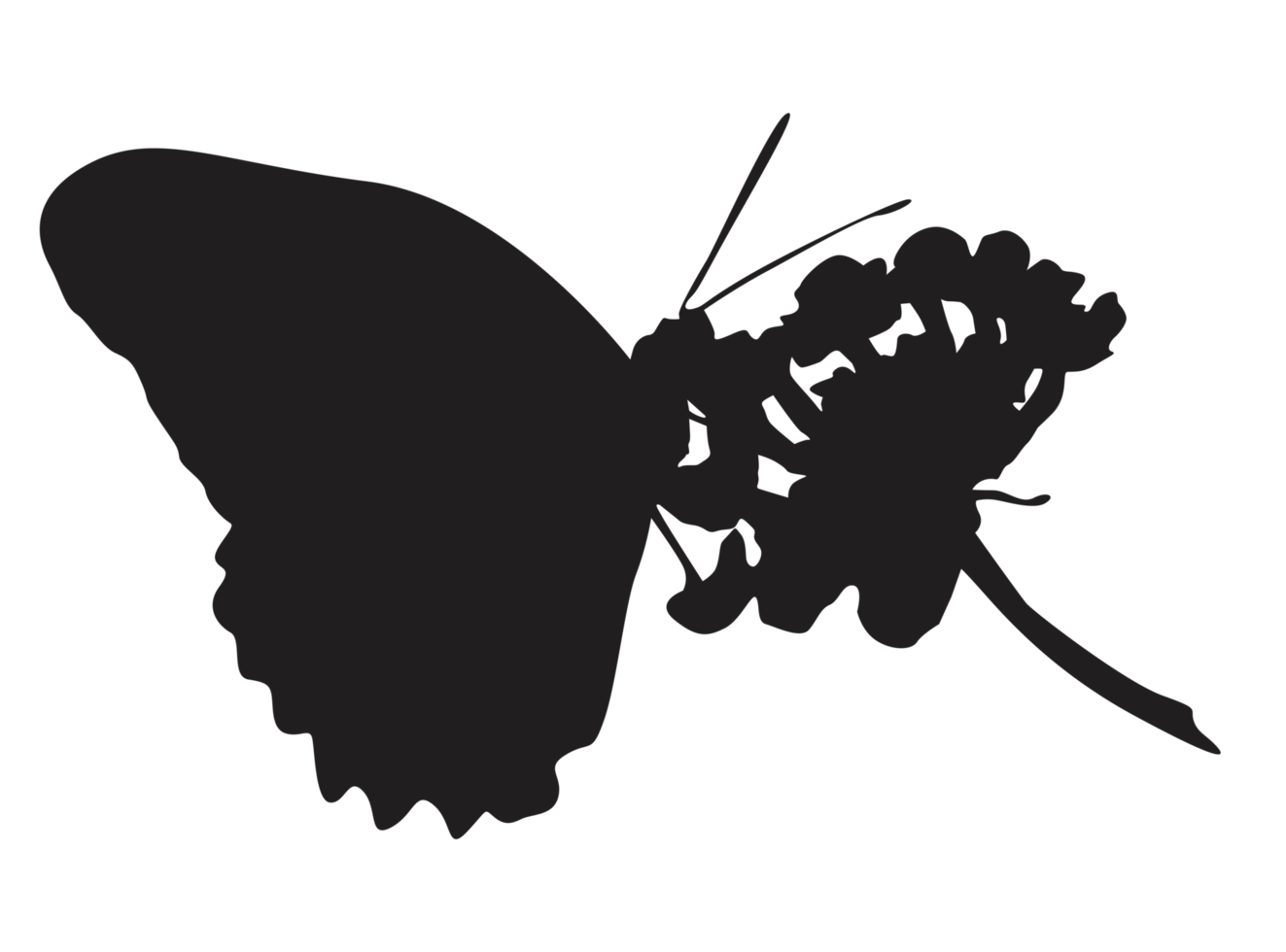 perching farfalla silhouette png