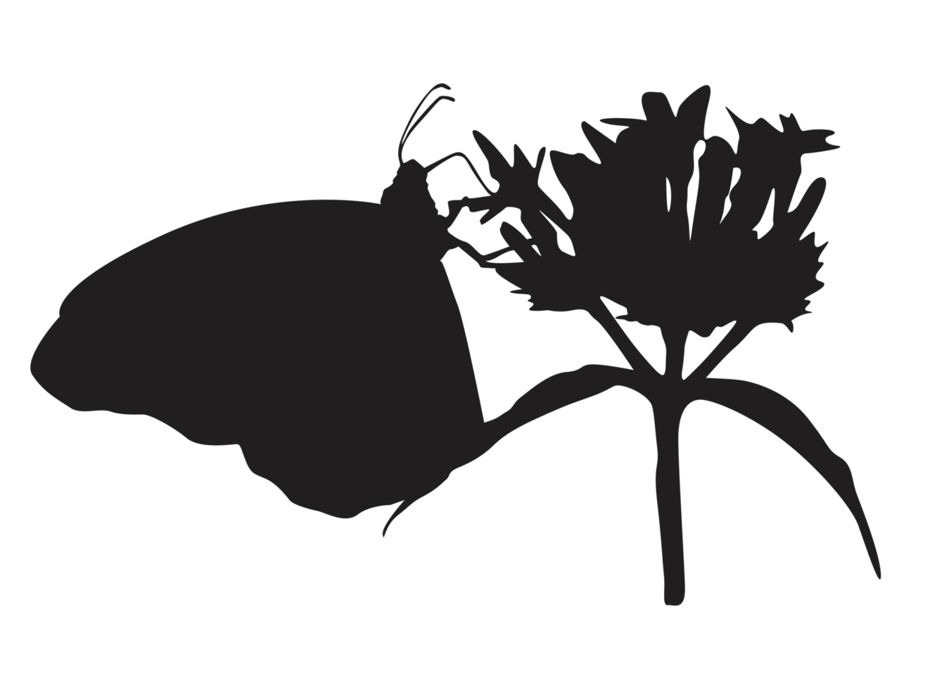 perching farfalla silhouette png