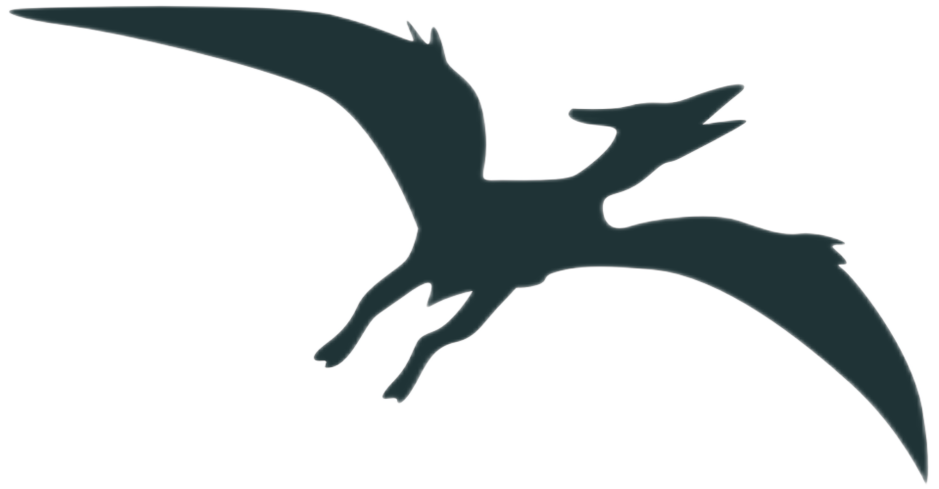 Dinosaur Silhouette - Pteranodon png