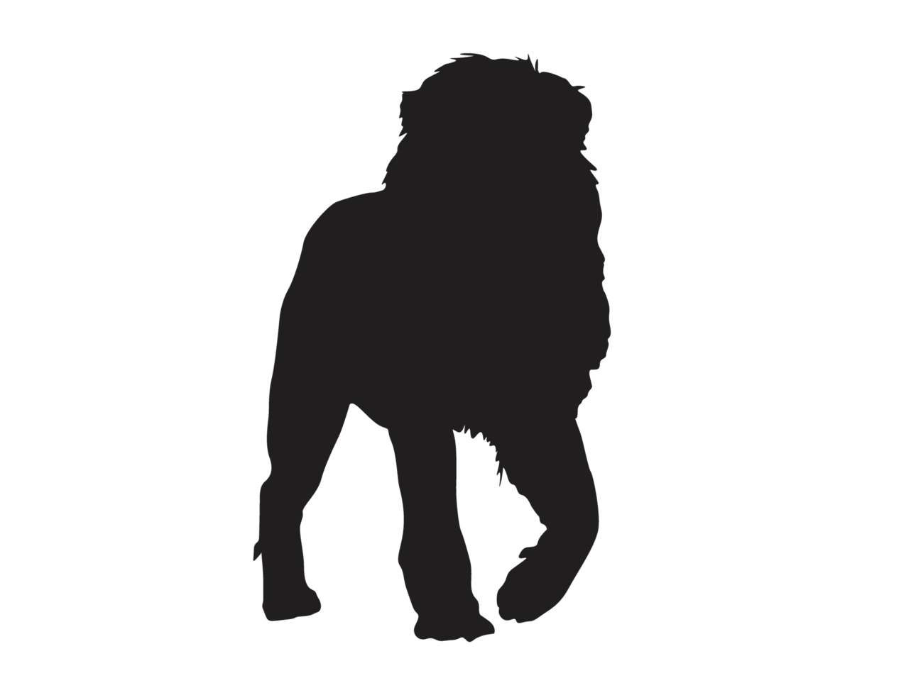 silhouette d'un lion mâle png