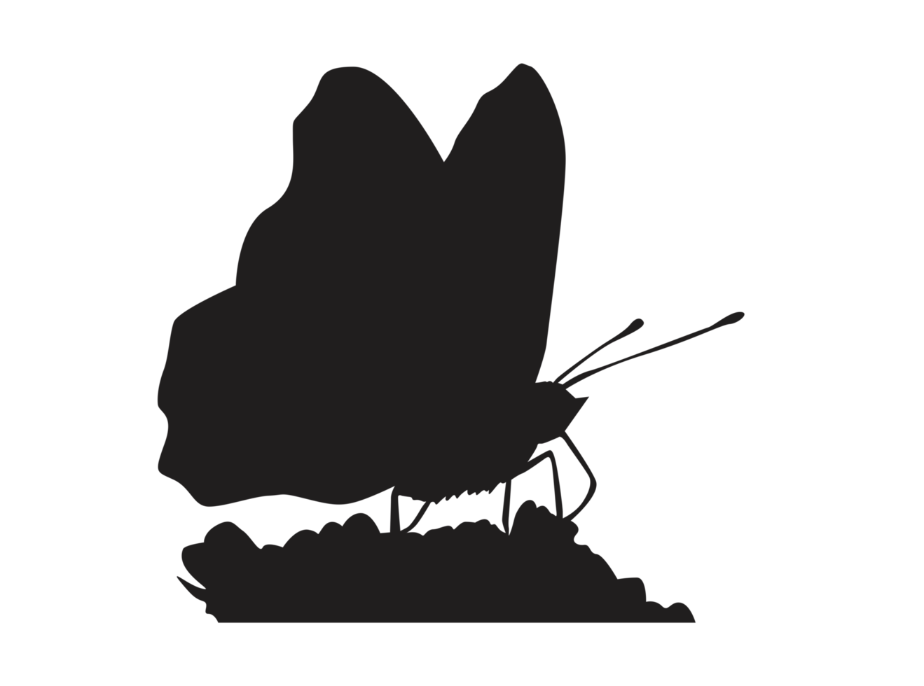 perching butterfly silhouette png