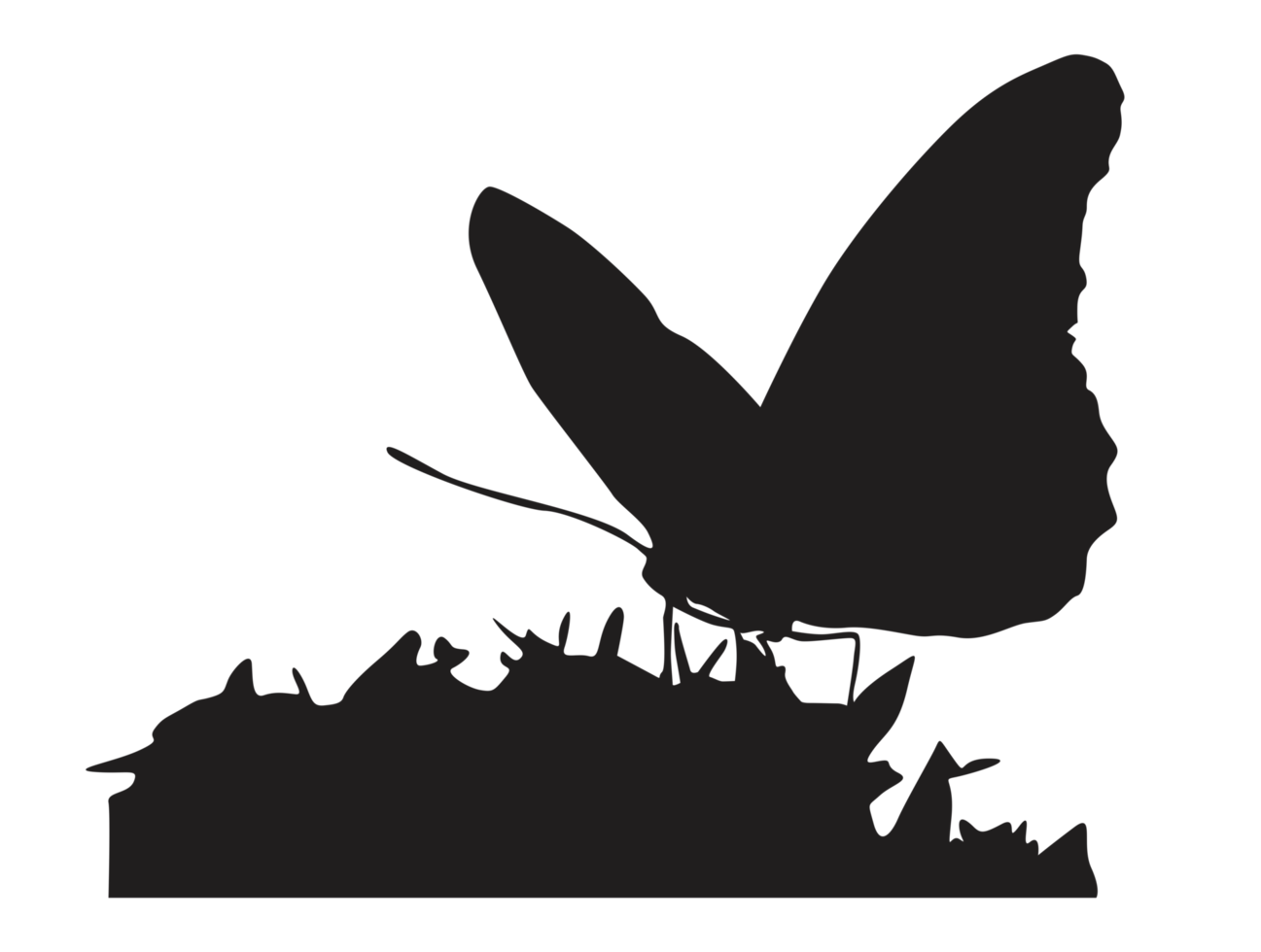 perching farfalla silhouette png