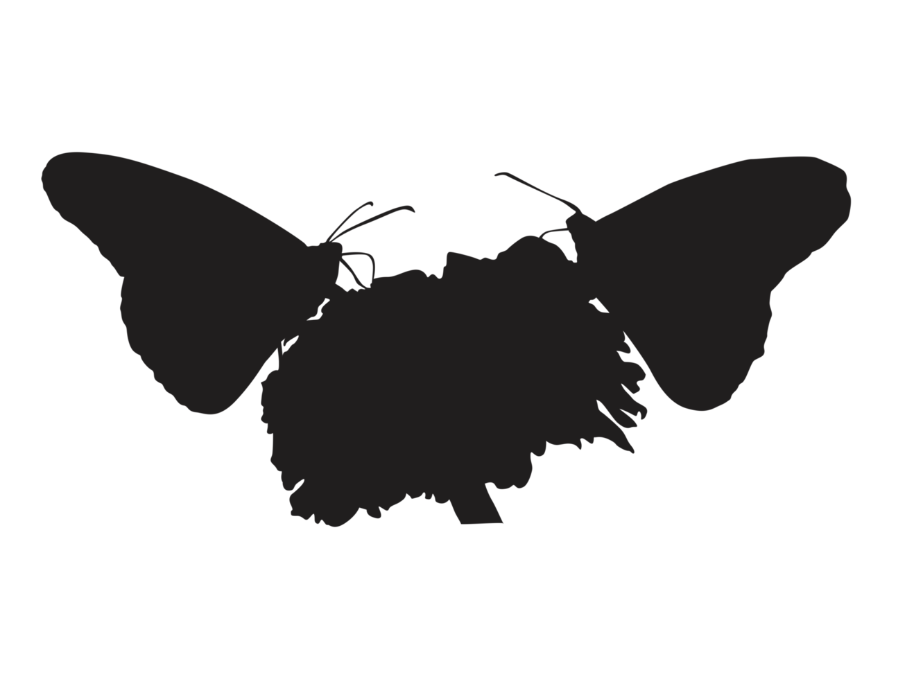 perching butterfly silhouette png