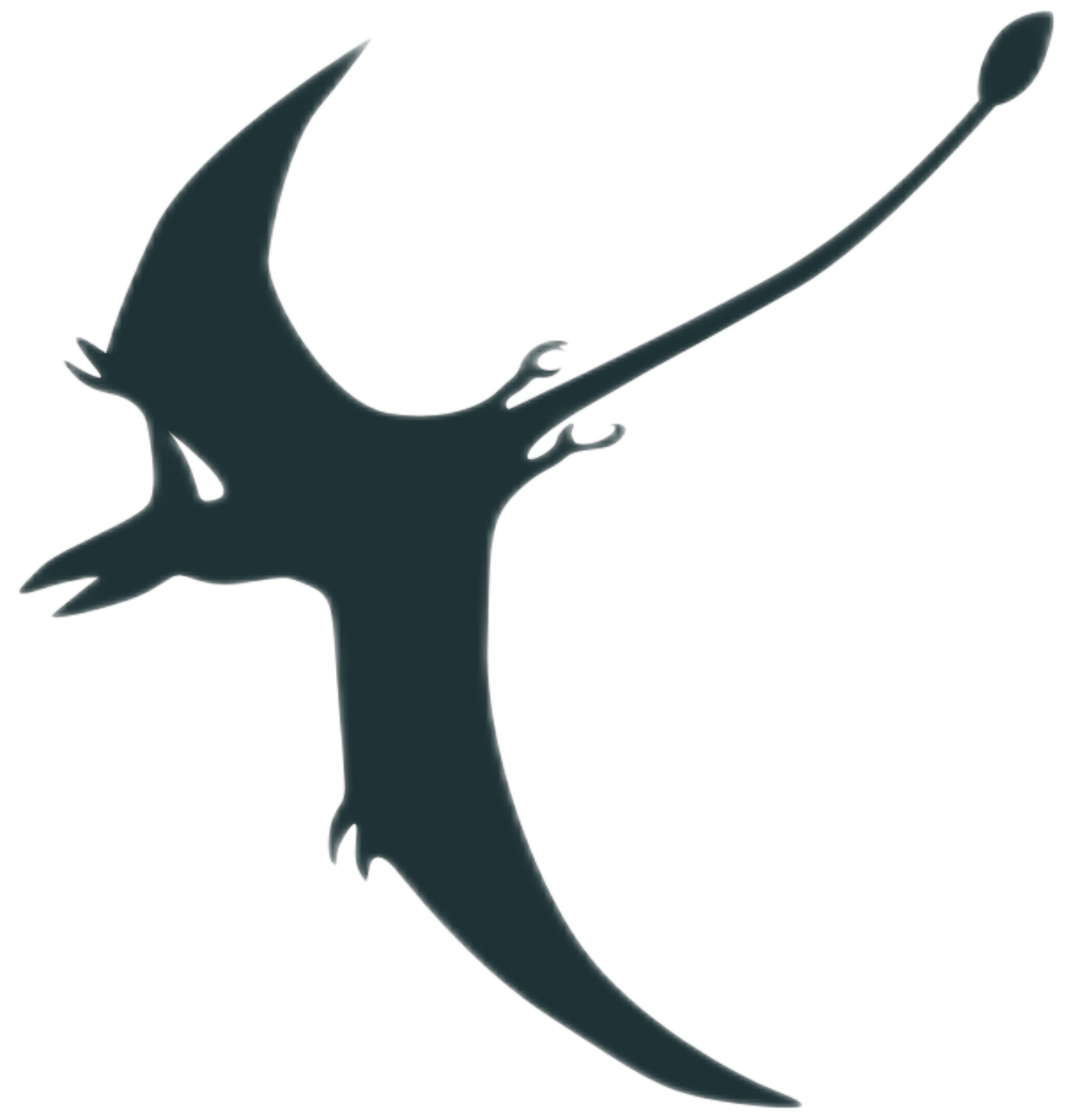 Pterodactyl Vector Contour Silhouette Pteranodon Dino - vrogue.co