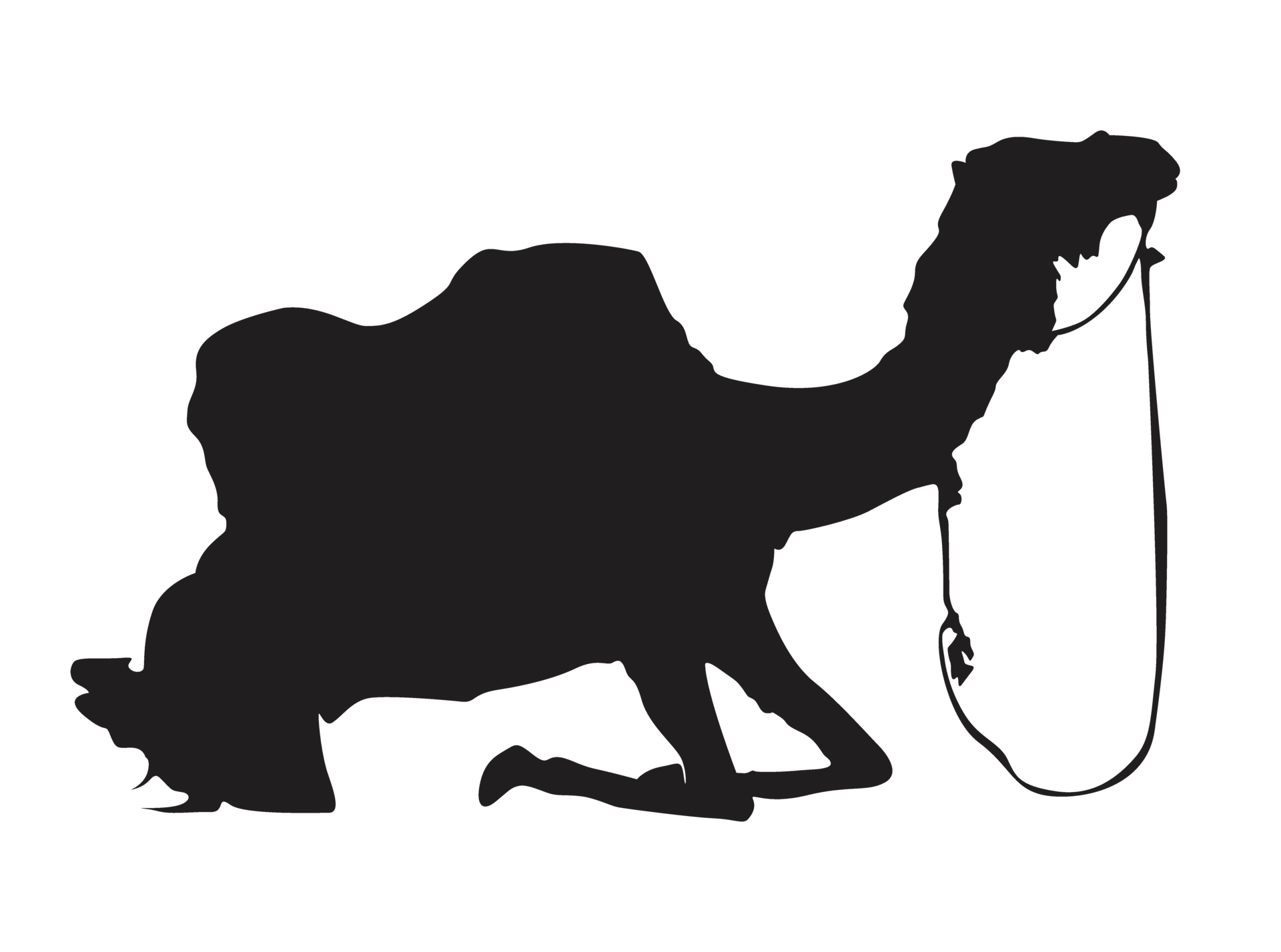 Sitting Camel silhouette 12933027 PNG