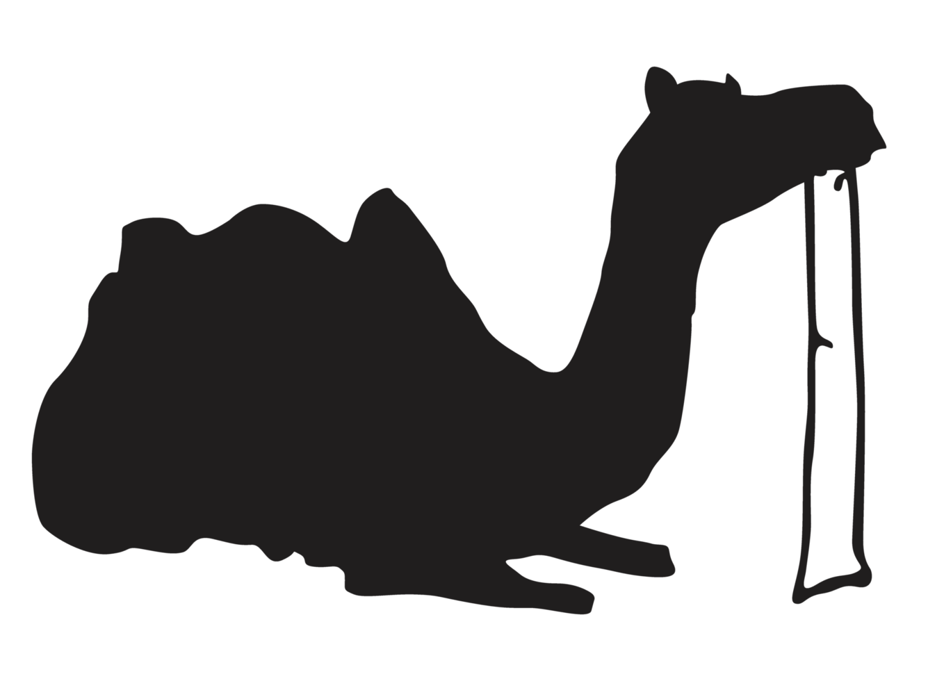 sitzende Kamelsilhouette png