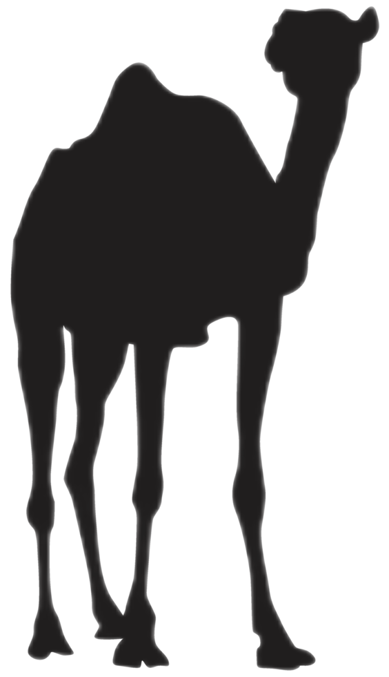 Standing Camel silhouette png