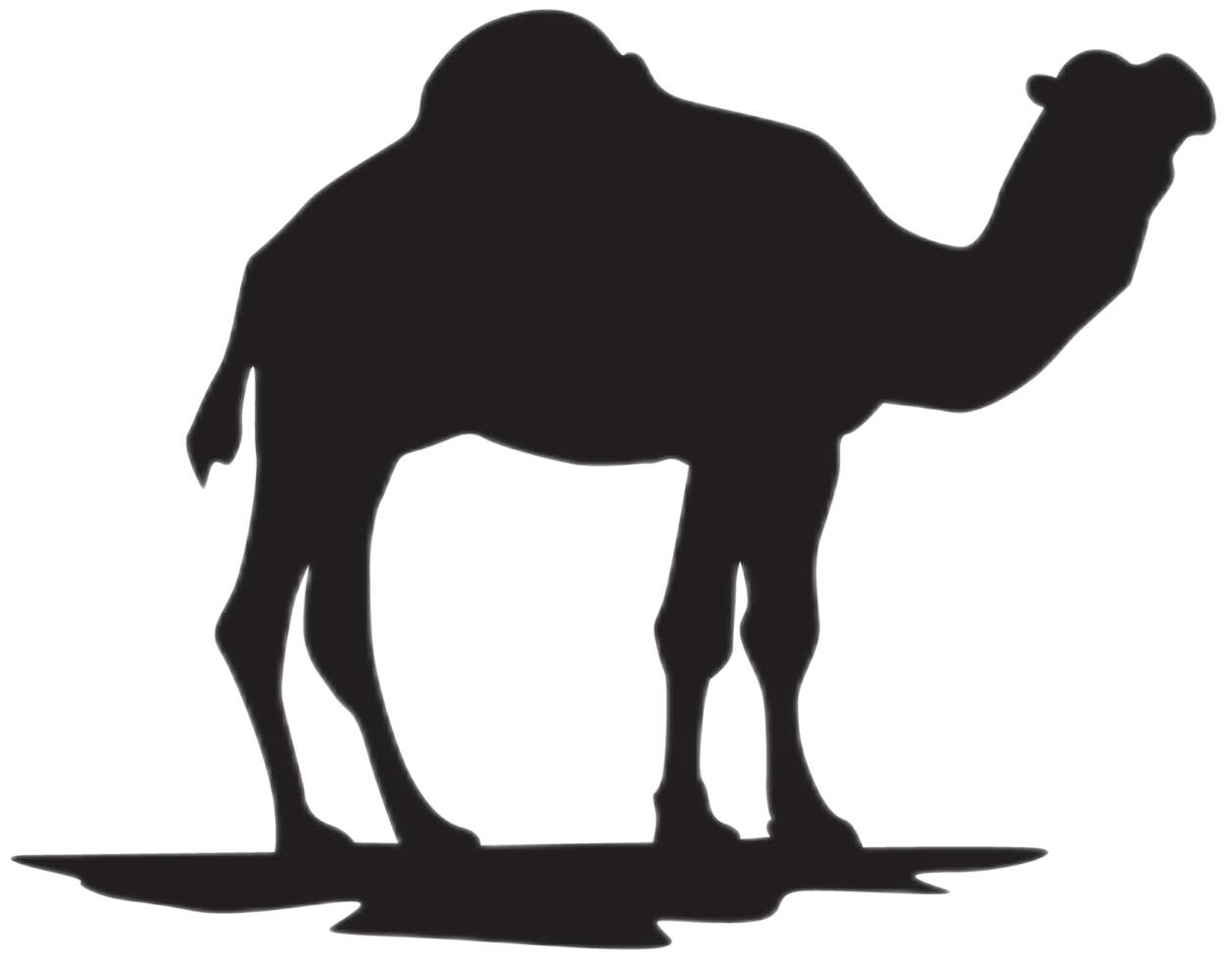 staand kameel silhouet png