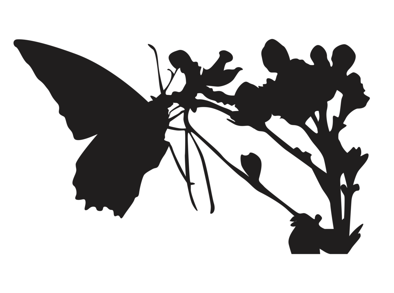 perching farfalla silhouette png