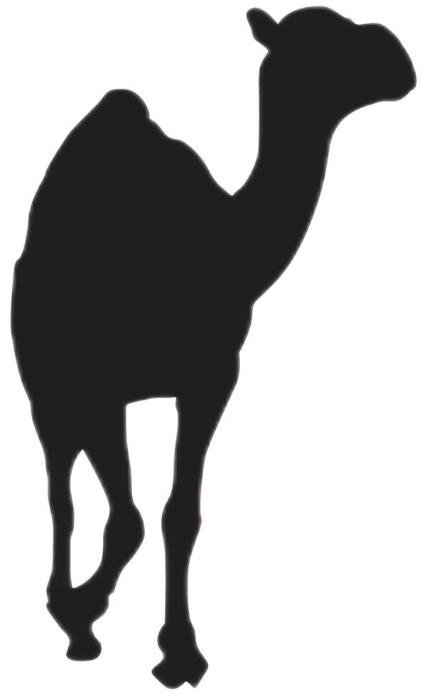 Standing Camel silhouette png