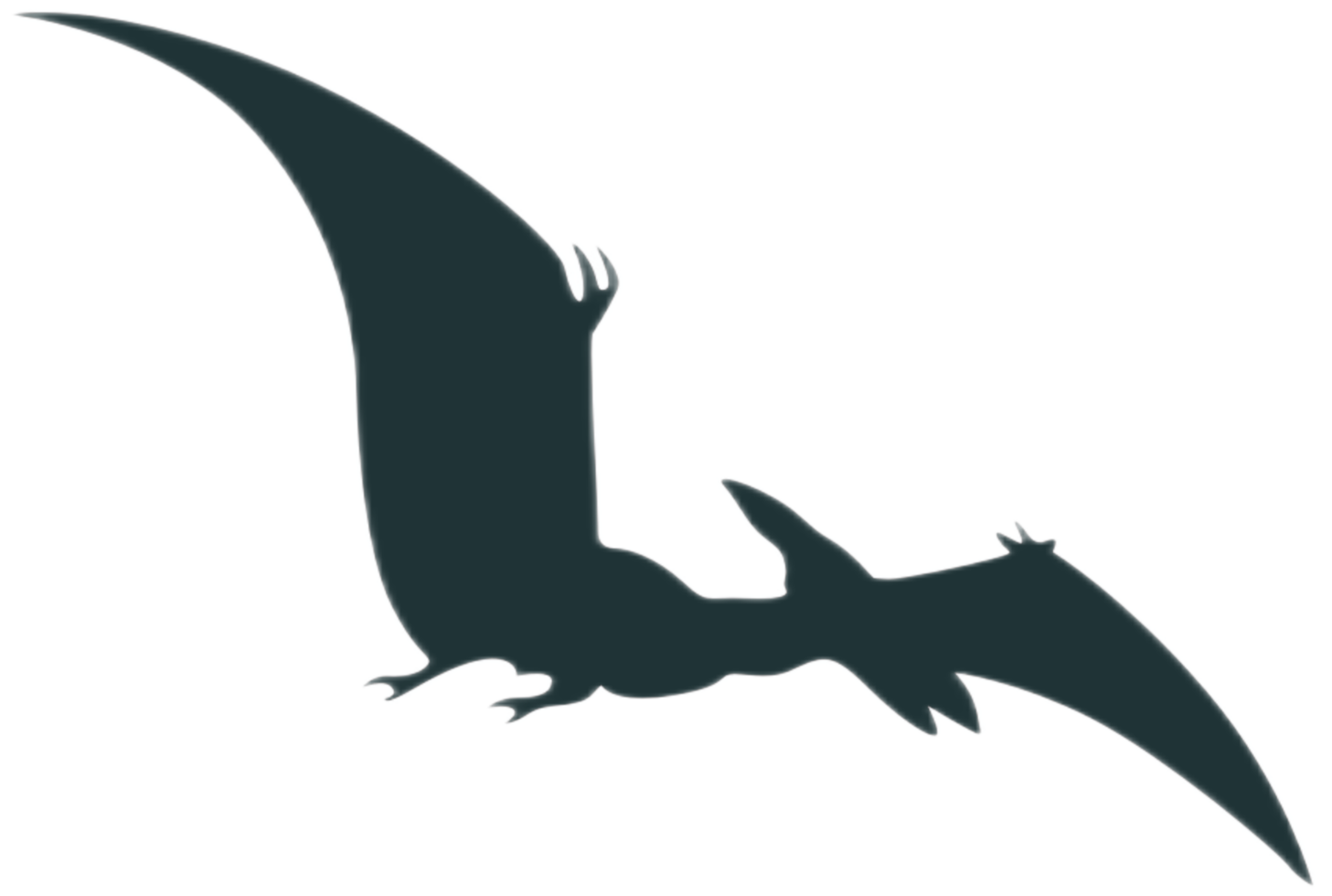 Dinosaur Silhouette - Pteranodon png