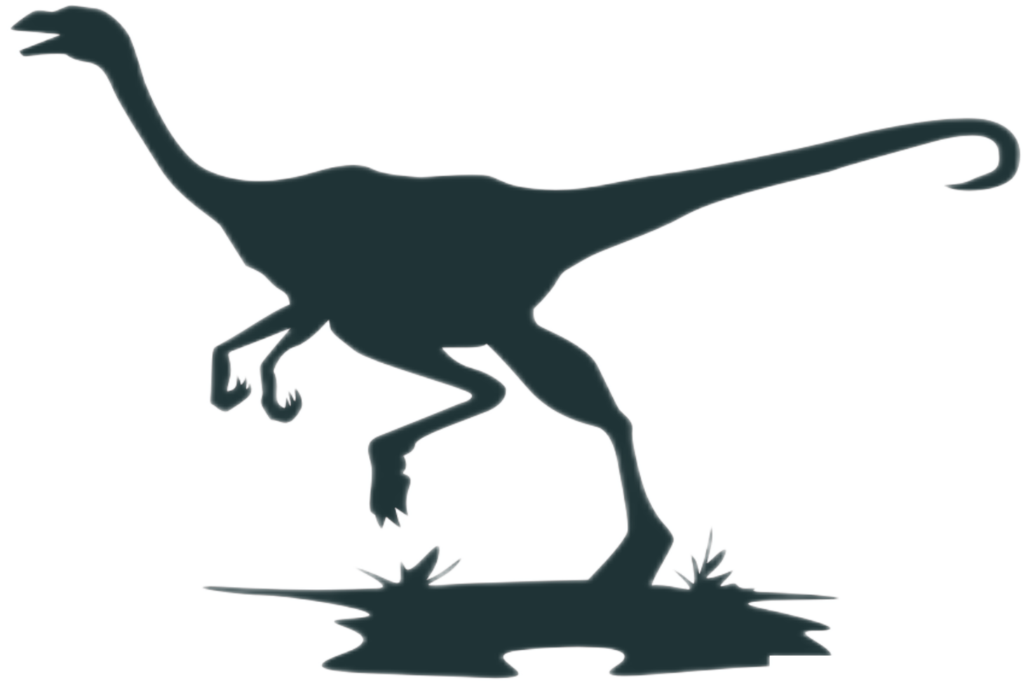 Animal - Dinosaur Silhouette png