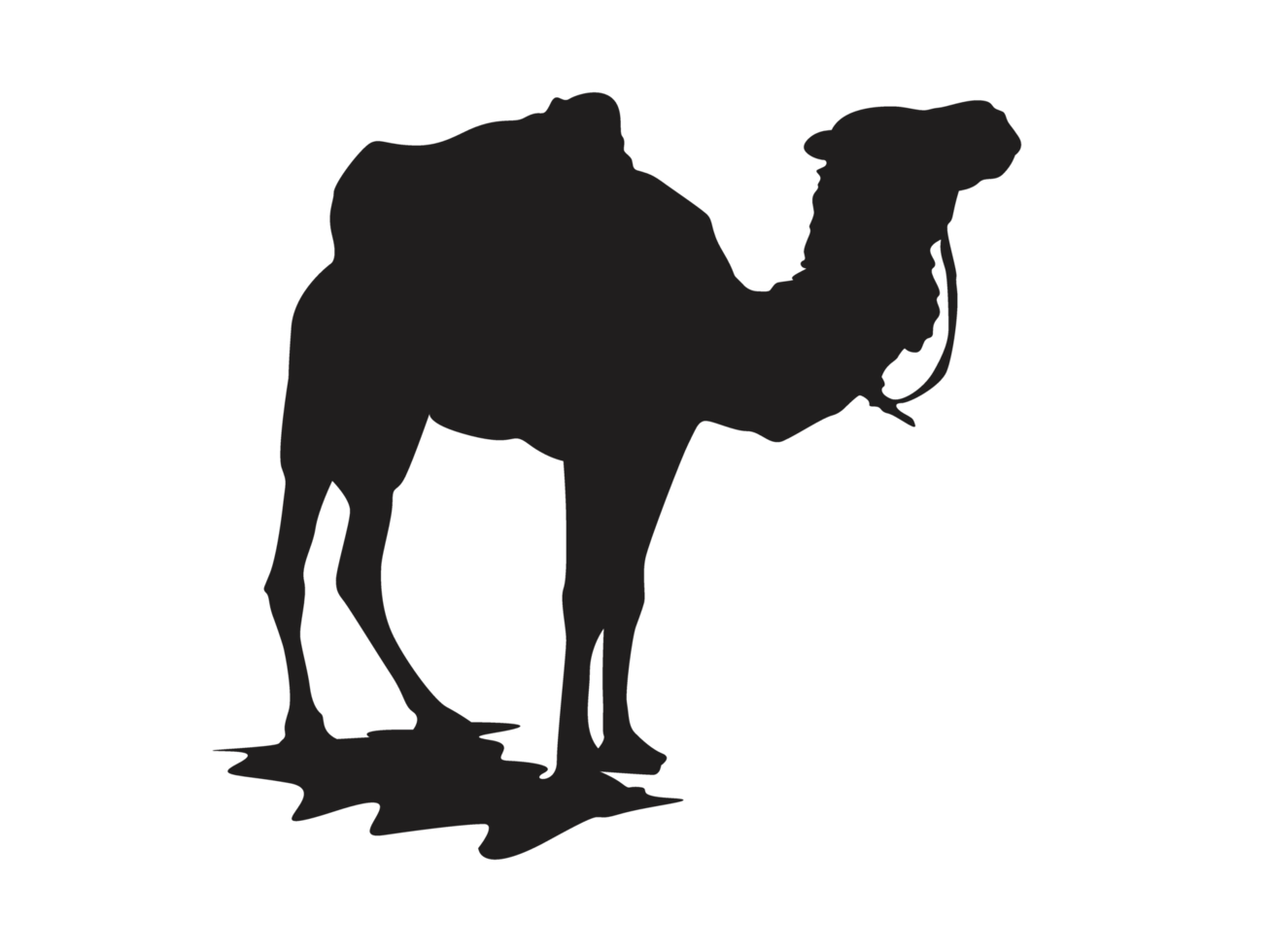 Standing Camel silhouette png