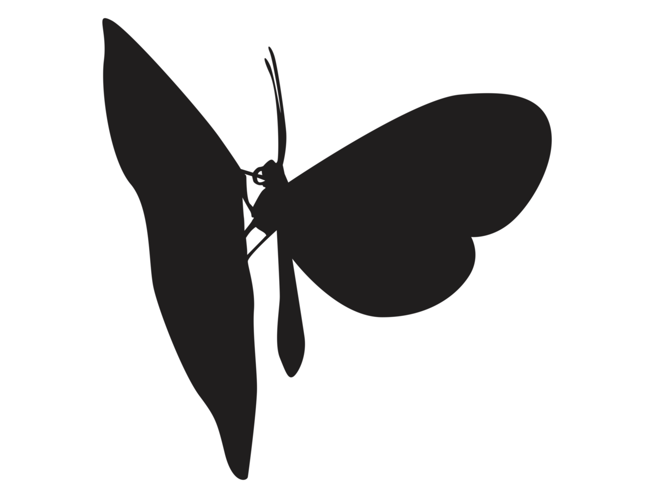 perching butterfly silhouette png